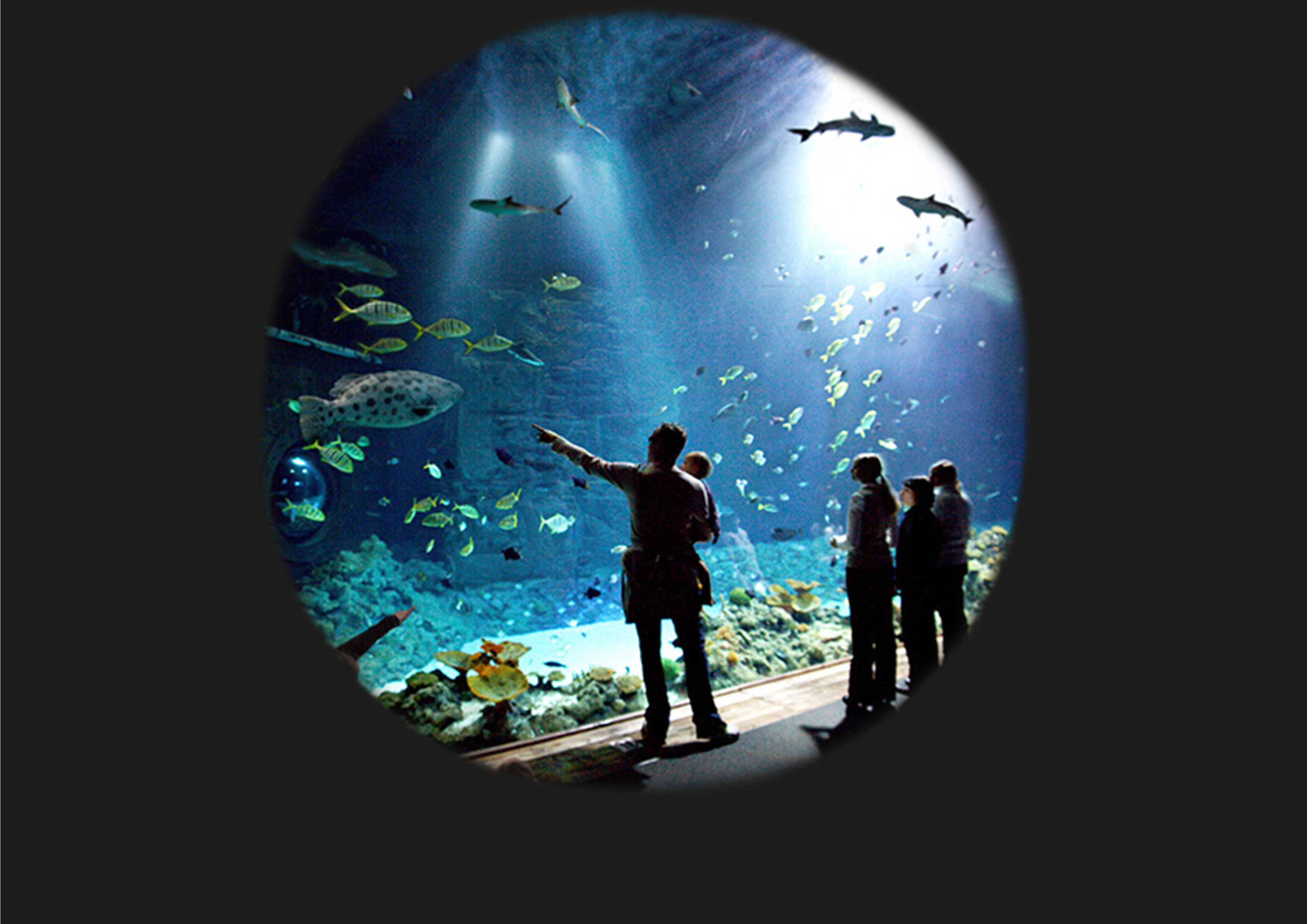 Hagenbeck Tropen-Aquarium